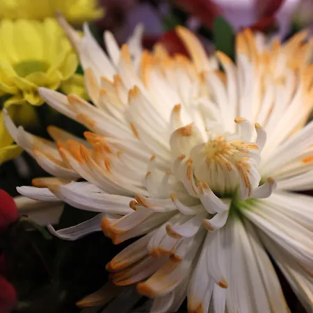 Meerzeit * Schulp (Dithmarschen)