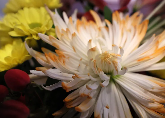 Meerzeit * Schulp (Dithmarschen)